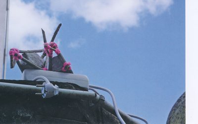 Ausstellung ,,concrete bird beings“ von Christian Hapke